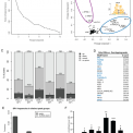 The genomic context and corecruitment of SP1 affect ERRα coactivation by PGC-1α in muscle cells